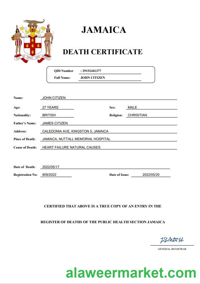 Jamaica vital record death certificate Word and PDF template